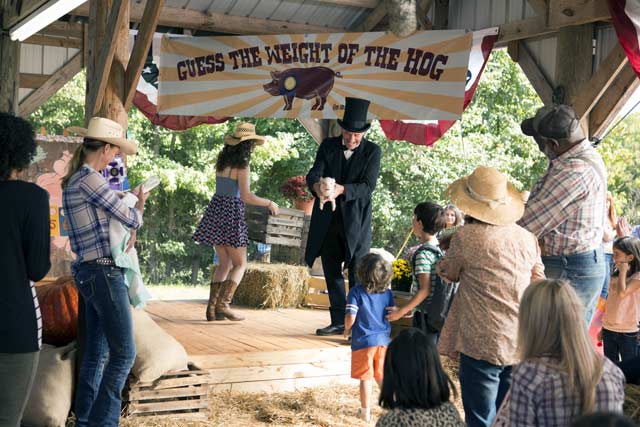 Diario de Greg: Carretera y manta