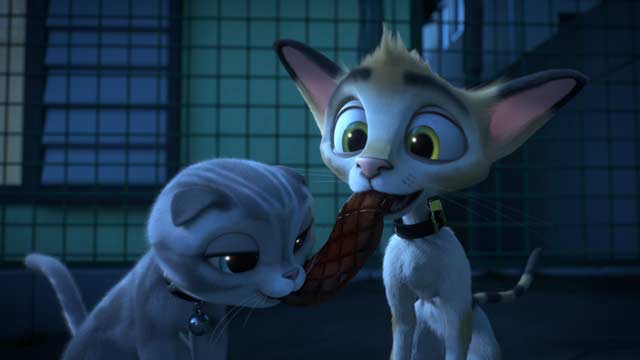 Gatos, un viaje de vuelta a casa