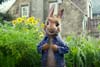 Peter Rabbit / 2