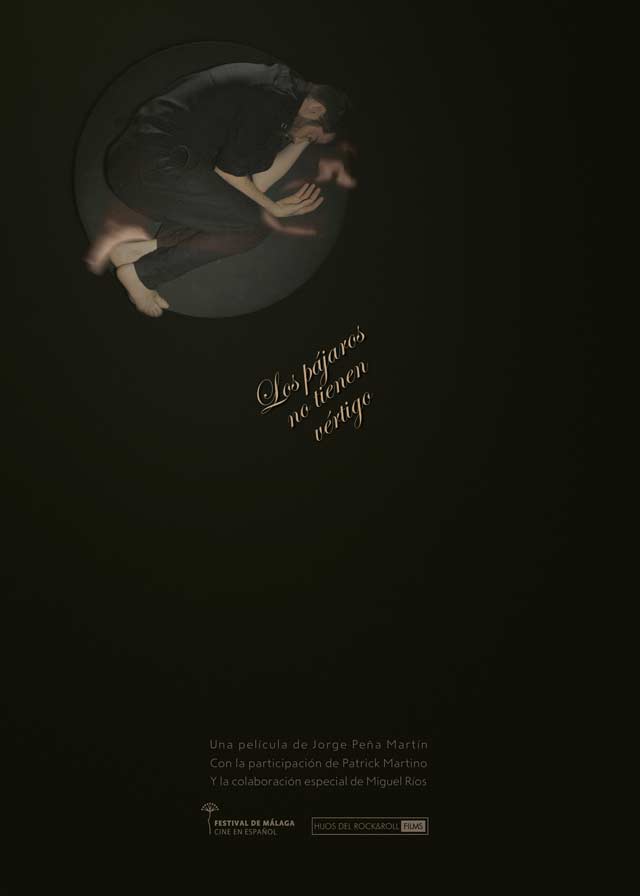 Los pájaros no tienen vértigo - cartel