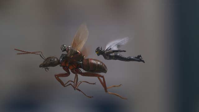 Ant-Man y la avispa