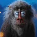 El rey león cartel reducido John Kani es Rafiki