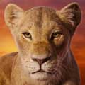 El rey león cartel reducido Beyoncé Knowles-Carter es Nala