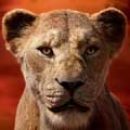 El rey león cartel reducido Alfred Woodard es Sarabi