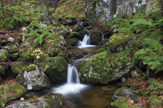 100 días de soledad