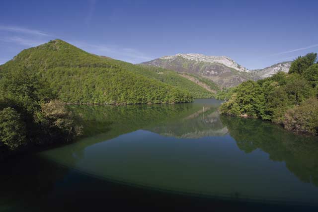 100 días de soledad