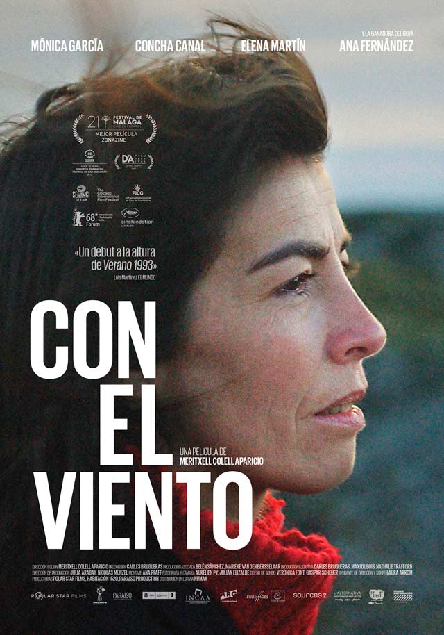 Con el viento - cartel