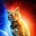 Capitana Marvel cartel reducido Goose