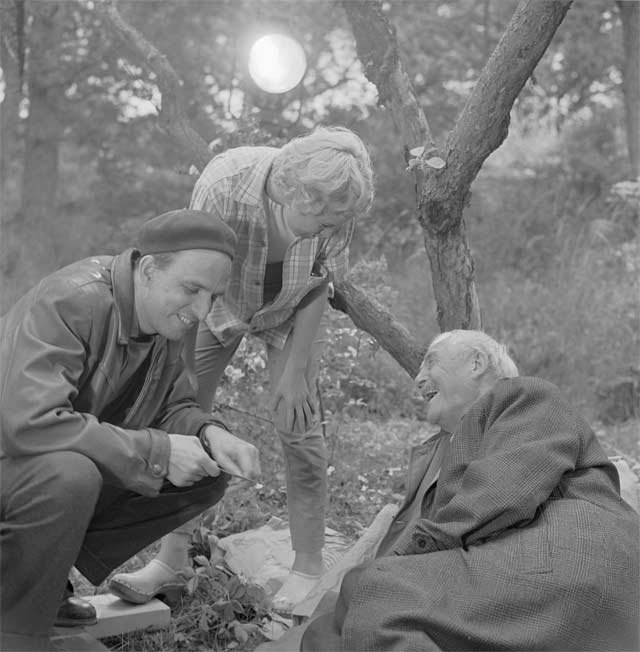 Bergman: Su gran año