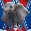 Dumbo cartel reducido