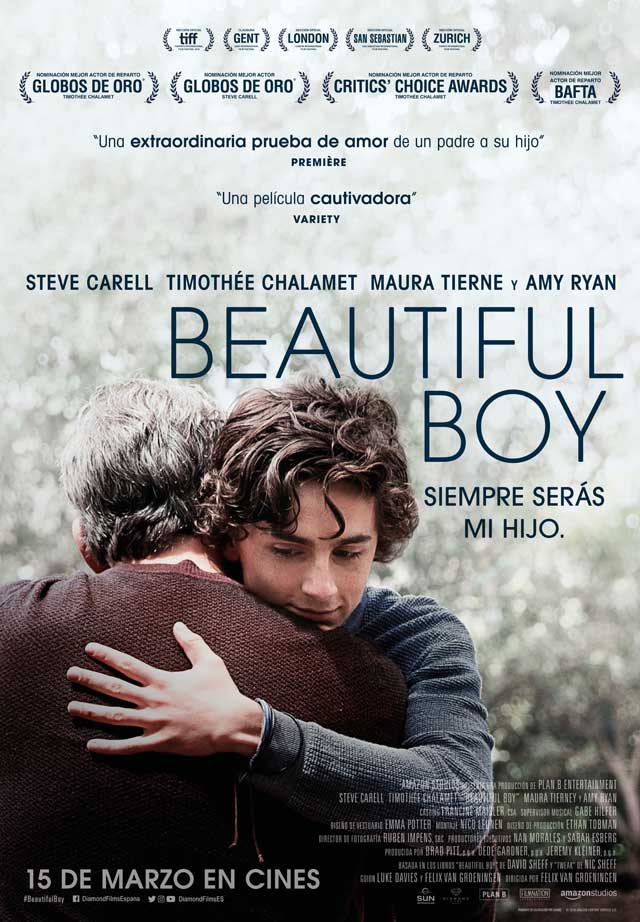 Beautiful boy, siempre serás mi hijo - cartel Timothée Chalamet