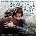 Beautiful boy, siempre serás mi hijo cartel reducido Timothée Chalamet