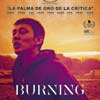 Burning cartel reducido