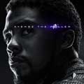 Vengadores: Endgame cartel reducido Chadwick Boseman es Black Panther