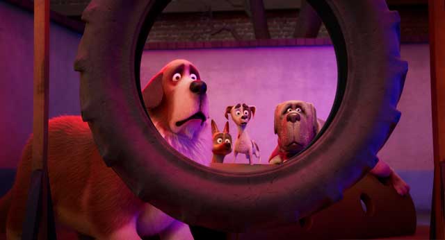 Corgi, las mascotas de la reina