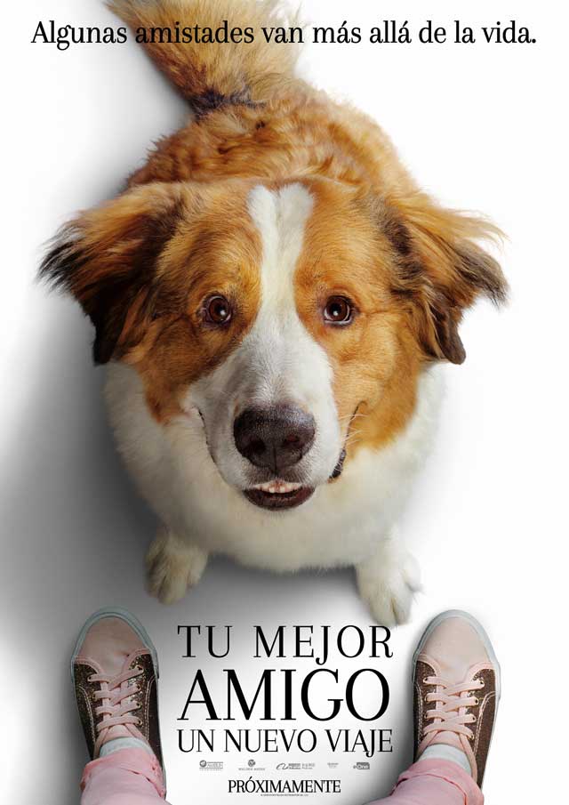 Tu mejor amigo: Un nuevo viaje - cartel Bailey