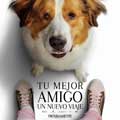 Tu mejor amigo: Un nuevo viaje cartel reducido Bailey