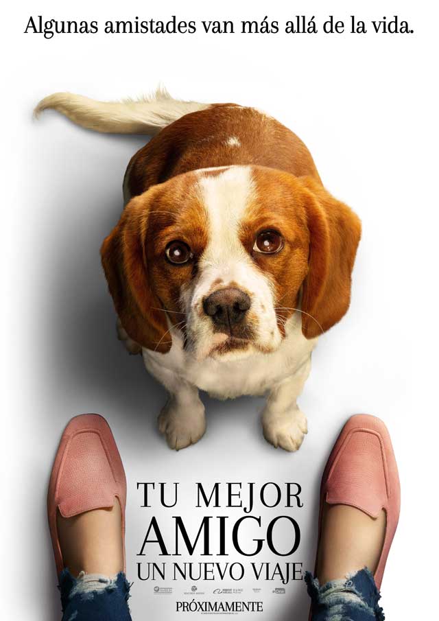 Tu mejor amigo: Un nuevo viaje - cartel Molly