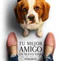 Tu mejor amigo: Un nuevo viaje cartel reducido Molly
