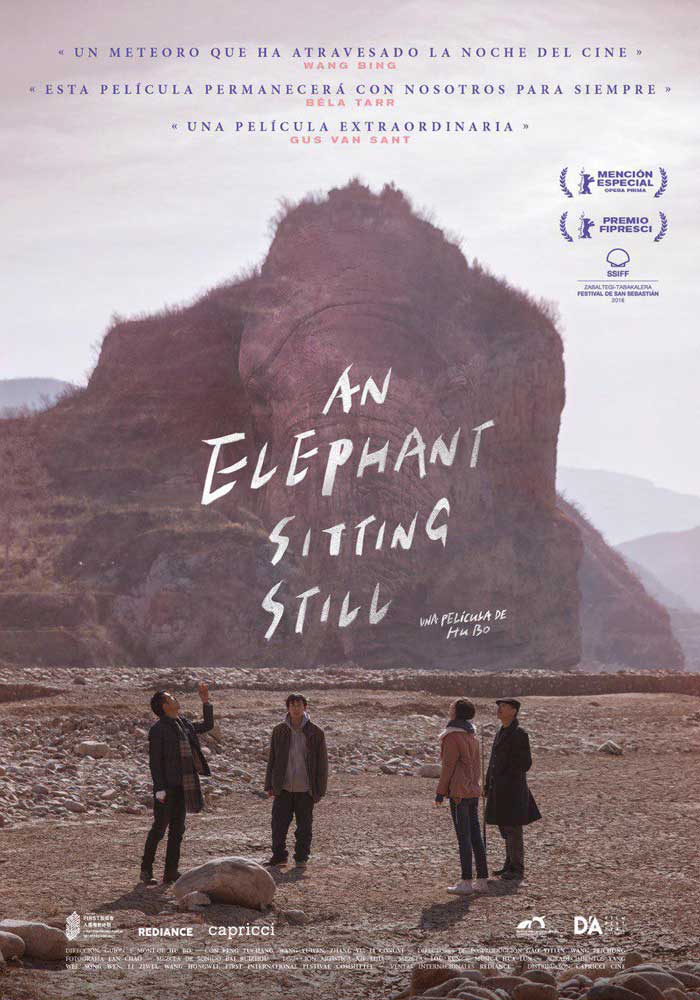An elephant sitting still - cartel
