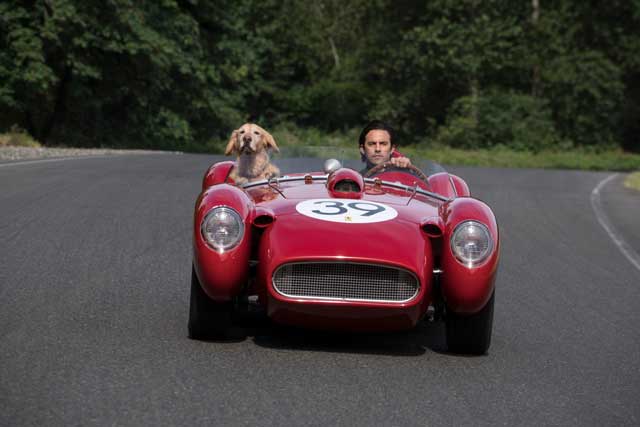 El arte de vivir bajo la lluvia