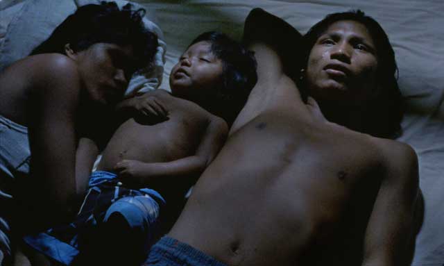 El canto de la selva