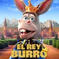 El rey burro cartel reducido