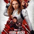 Viuda negra cartel reducido
