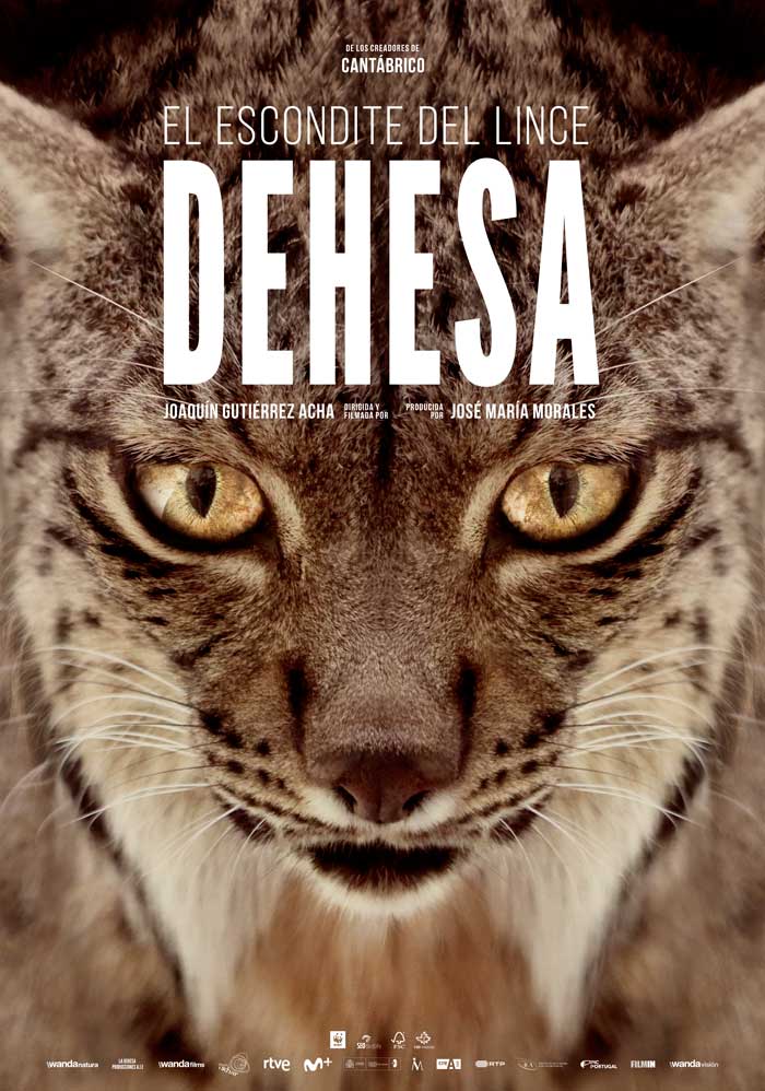 Dehesa, el bosque del lince ibérico - cartel