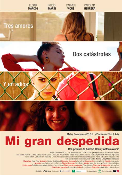 Mi gran despedida - cartel