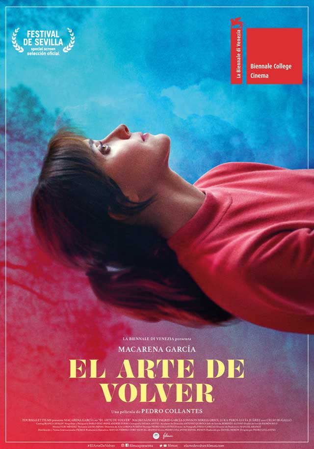 El arte de volver - cartel