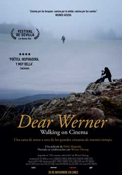 Cartel de Dear Werner