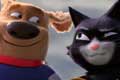 StarDog y TurboCat