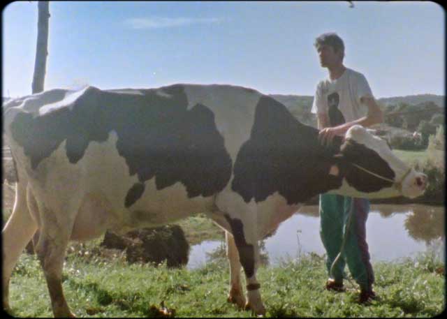 La reina de los lagartos