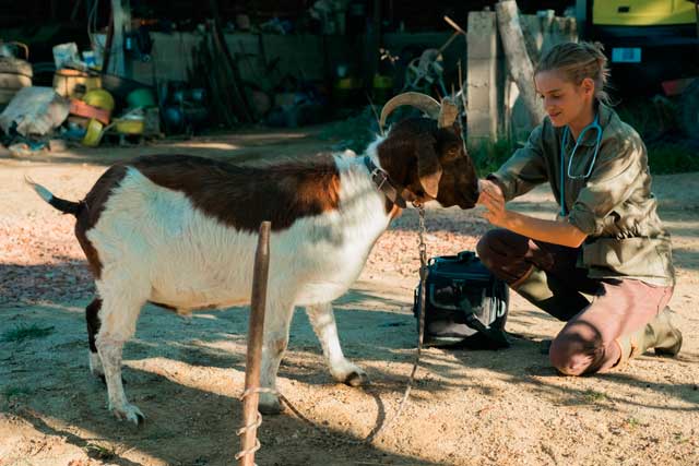Una veterinaria en la Borgoña