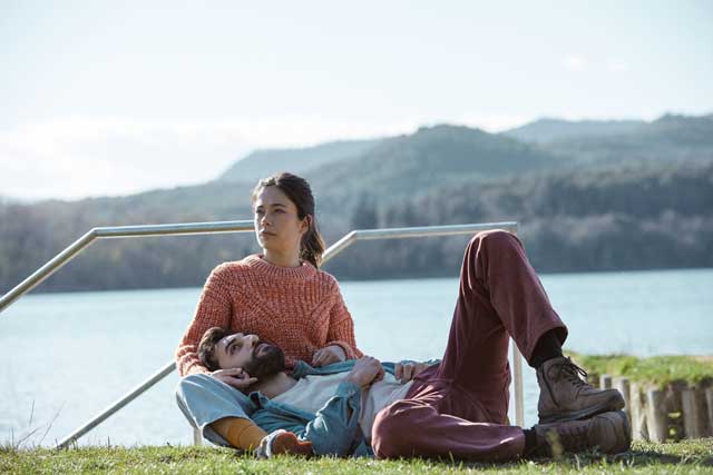 Girasoles silvestres