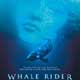 Whale Rider cartel reducido
