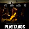 Plantados cartel reducido