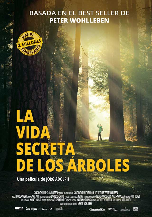 La vida secreta de los árboles - cartel