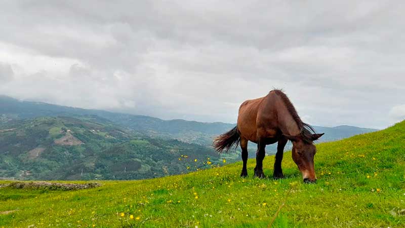 La montaña de Guipúzcoa