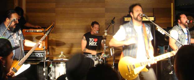Molotov en Leon 2011 - 4