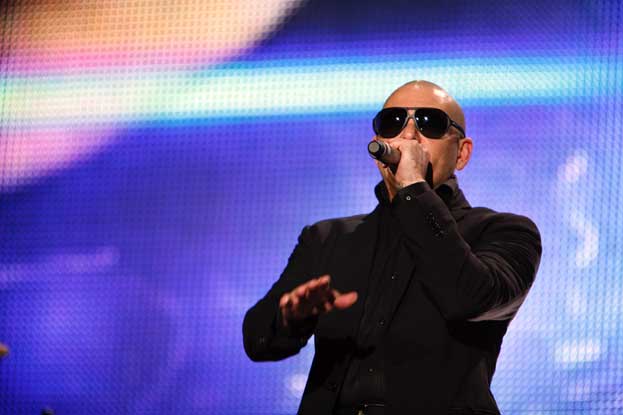 Pitbull 1