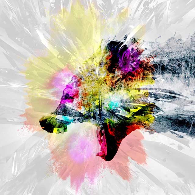 Amatria: Animal - portada