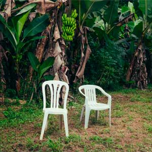 Bad Bunny: Debí tirar más fotos - portada mediana