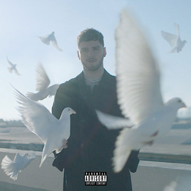 Bazzi: Soul searching - portada