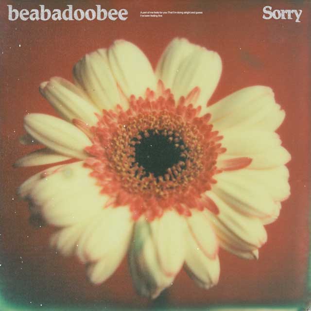 beabadoobee: Sorry - portada