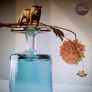 Beirut: Gallipoli - portada mediana