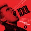 Billy Idol: Can't break me down - portada reducida