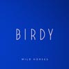 Birdy: Wild horses - portada reducida