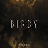 Birdy: Words - portada reducida